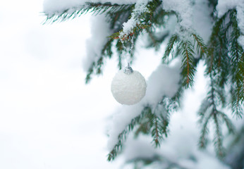 Christmas white shiny ball toy on the snow branch of a green tree. Glitter Christmas toy. Snow lies on the branches of fir tree. Christmas winter concept. Copy space for text, font, words. Top view