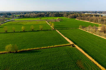 Naklejka premium Green meadows of East Flanders, Belgium - aerial view