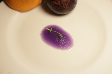 molecular cuisine dish on a white plate