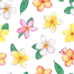 Seamless pattern with tropical flowers plumeria(frangipani). - 308699638