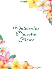 Tropical floral border with frangipani flowers(plumeria). Hand painted in watercolor. - 308699648