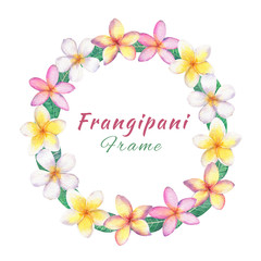 Hand drawn watercolor plumeria(frangipani) wreath isolated on white background. - 308699675