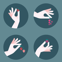 Fresh and handpicked! Women's hands holding berries in various gestures. Flat style vector illustration