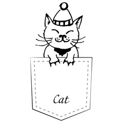 A cat sitting in a pocket in a hat with a pompom. Vector illustration hand drawn isolated on white background for design and web.