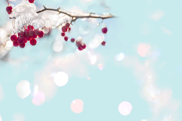 Abstract bright light festive background. Flare elements and natural berries. Defocusing.