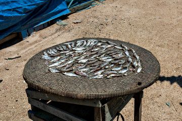 Drying river fish in Cambodia