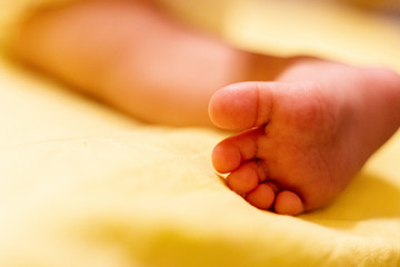 Little fingers. Legs newborn baby