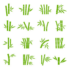 Bamboo tree branches color vector icons set