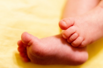 Little fingers. Legs newborn baby