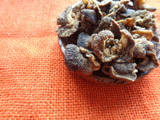 isolated Achatina fulica chips (keripik bekicot). Indonesian exotic snack with taste bitter, dry and delicious