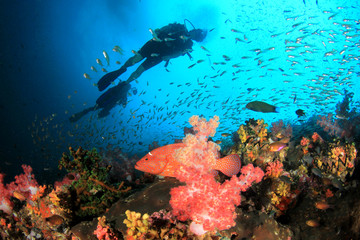 Fototapeta na wymiar Scuba divers explore underwater coral reef 
