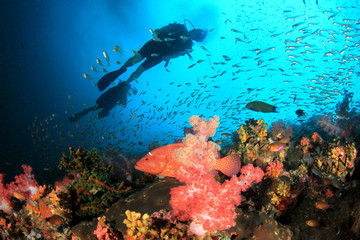 Scuba divers explore underwater coral reef 