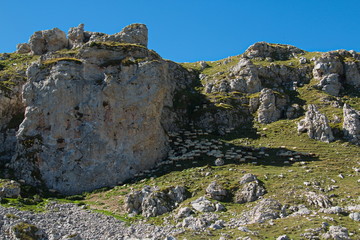 Sheep in national park Picos de Europa in Cantabria,Spain,Europe