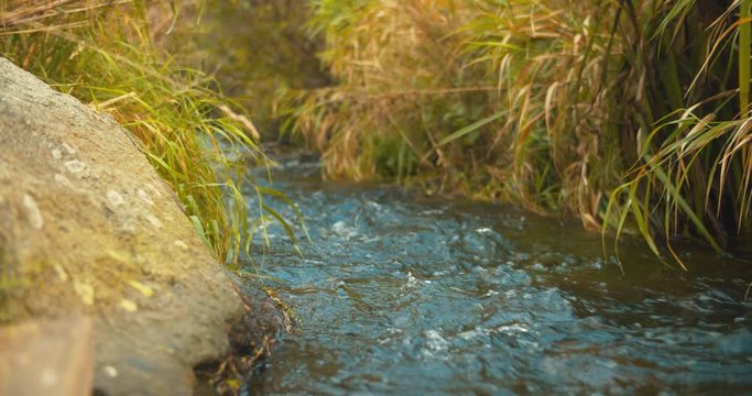 Cinematic shoot of small river in golden hour sunset.

perfect for travle, nature and corporate video projects.