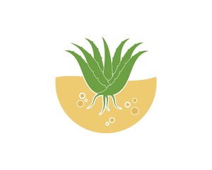 aloevera logo icon vector illustration design