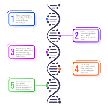 DNA Molecule Concept. Abstract Diagram, Molecule Helix Spiral Structure Science Scheme, Biology Genetic Chromosome Vector Systematic Infographic Concept. Presentation Design Element. Poster Template