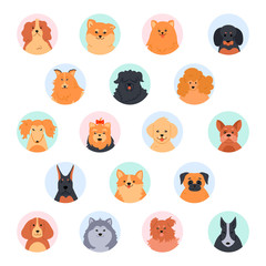 Pet cute faces. Cute dog head. Poodle, funny yorkshire terrier, pomeranian spitz and labrador retriever. Purebred dogs muzzle vector illustration set. Social network circular avatars. Flat icon pack