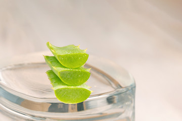 Aloe plant green slice close-up macro isolated on blur background with copyspace