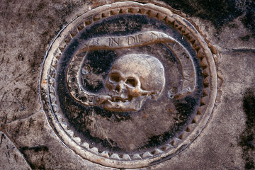 Skull relief carved in stone. Medieval Marble Tomb, close up, Pisa Italy. Medieval Italian Crypt. Antique skull pattern with circle frame.