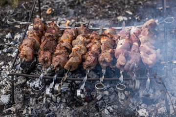 shish kebab on skewers 