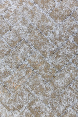 Snowflakes of the first November snow lie on the gray stone pavement.
