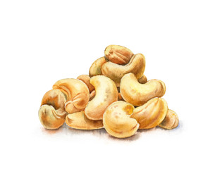 Watercolor cashew nuts. Hand drawn food illustration isolated on white. Realistic element for recipes, labels, banners 