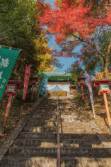 Fototapeta na wymiar 京都、松ヶ崎大黒天（妙円寺）の山門と紅葉の秋景色です