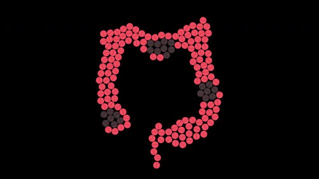 Intestine diseases awareness animation of red and black pills. Inflammatory bowel disorder motion graphics with alpha channel. Medical solidarity concept. Human body organ treatment. 