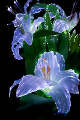 Beautiful colorful artificial LED light flowers, Light flowers at night.