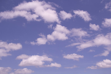 Fototapeta premium The sky is bright, there is a little cloud floating in the sky.