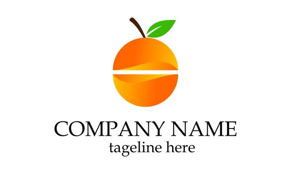 Eco orange fruit logo vector image illustration