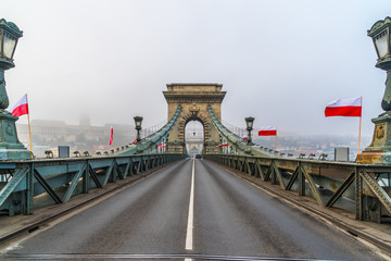 Fototapeta na wymiar Beautiful view of the Chain Bridge over the Danube river in Budapest