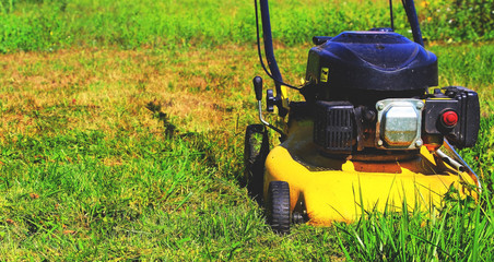 Man mows the grass. Lawn mower. Mow the lawns.