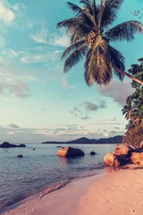 Fotobehang Turquoise Vintage palmbomen aan tropische kust