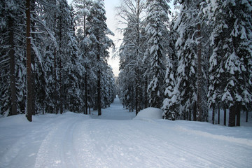 Russia.Karelia.The ski run goes down.December.2019.