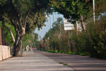 El camino enmarcado que nos lleva hacia adelante