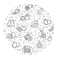 Fresh and natural ingredients. Thin line web icon set