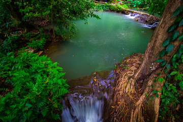 Waterfall in tropical deep rain forest with green tree