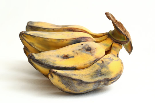 cardava banana (also known as saba banana) isolated on white background