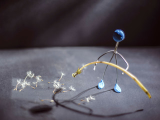 baldness concept. An artificial man holds a dandelion flower in his hands, from which his flowers showered. Extinction of vital functions. Body aging