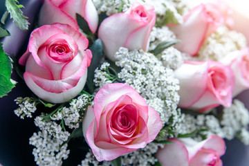A bouquet of pink roses close-up