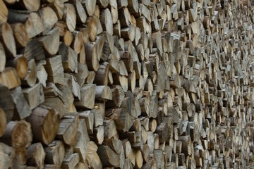 Pile of wood logs in perspective