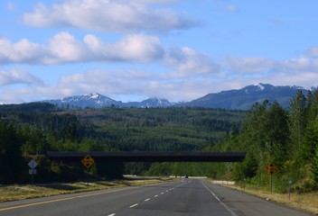 scenery along the Island highway on Vancouver Island, British Columbia Canada
