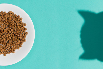 Plate with dry cat food and curious cat shadow on blue background. Direct light. Top view. Flat lay...