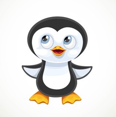 Cute cartoon baby penguin isolated on white background