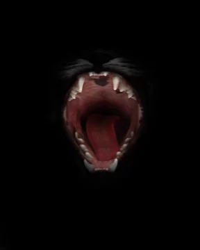 mouth of a night demon, cat's jaws of a lynx isolated on a black background.  swallow throat ready to devour prey, a symbol of nightly fears and  temptations. red open gluttonous mouth