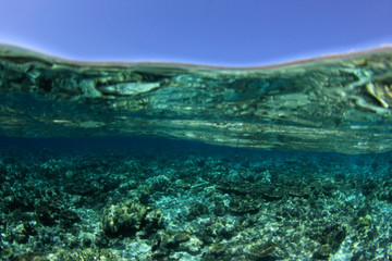 Coral reef and island split photo