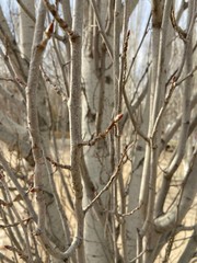 invierno