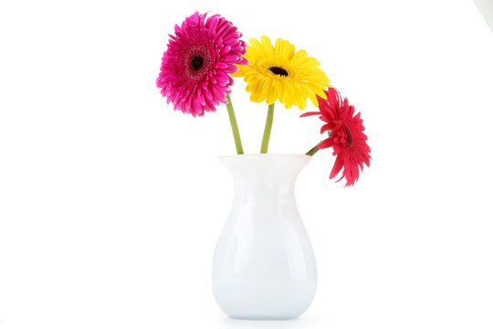 Ceramic vase with gerbera flowers isolated on white background