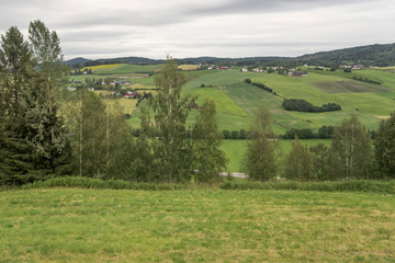Naklejka premium trees in green countryside, near Honefoss, Norway